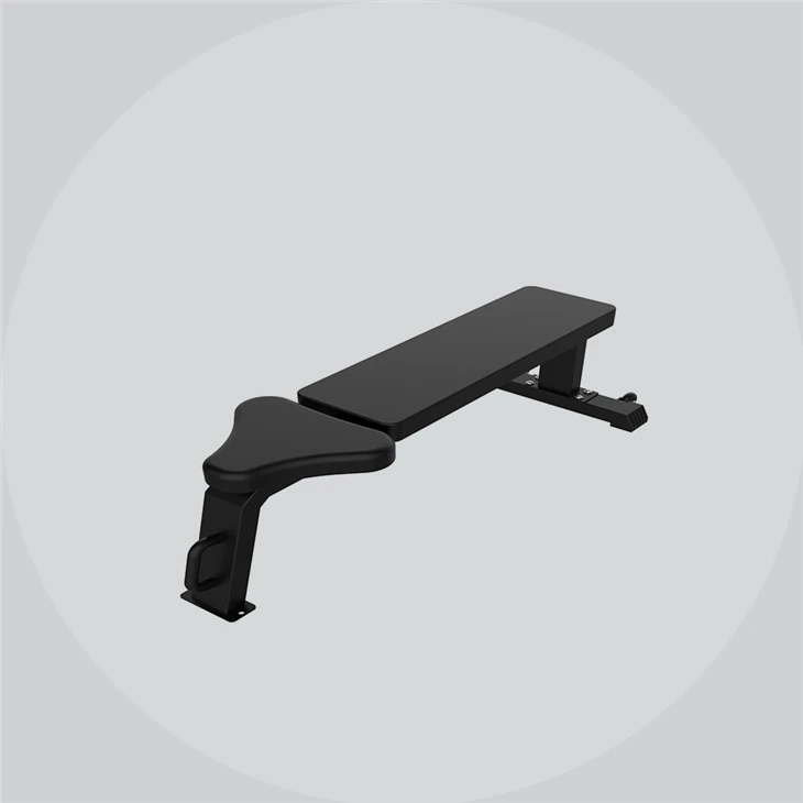 Flat Bench Trainer price